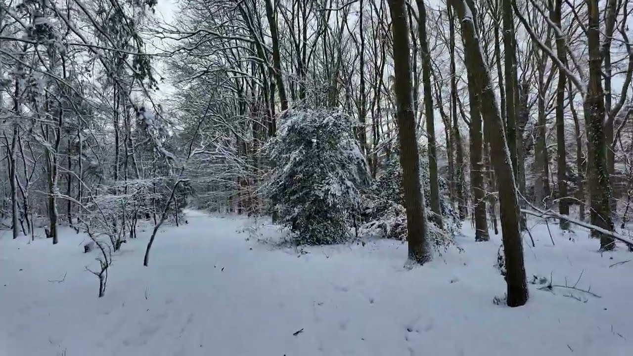 Sneeuw in Nederland