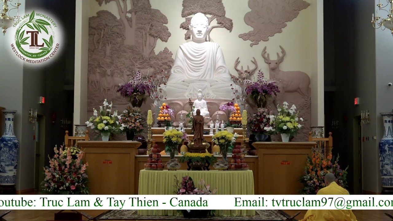 Ngồi Thiền và Lạy Sám Hối với Thầy Thích Pháp Hòa (6am – Sep 13, 2020 – Trúc Lâm) Ngồi Thiền và Lạy Sám Hối với Thầy Thích Pháp Hòa (6am – Sep 13, 2020 – Trúc Lâm)