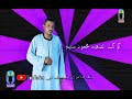 محمود سليم النوبى واروع موال قالو علينا ديابة 