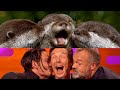 Celebrities unexpected funny moments compilation 2020