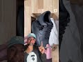 LIMPIANDO LAS AIR FORCE 1 SUCIAS DE NIKE DIRTY PACK