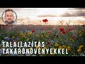 Ásás helyett lazítsuk a talajt takarónövényekkel | kert TV