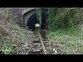 Abandoned Railway Walk, English Countryside 4K