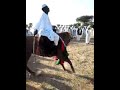 تراث قبيلة الهبانيه