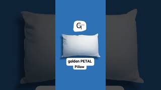 Nick Jonas Sweet U0026 Soft Recron Pillows