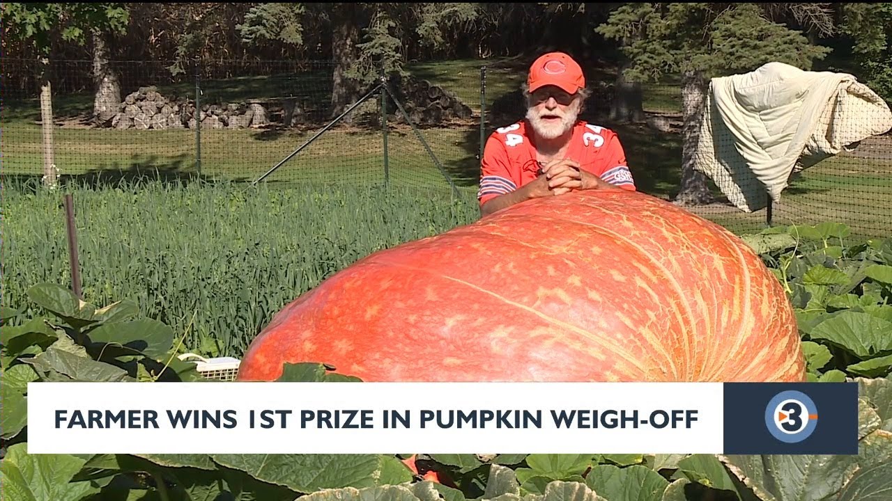 Wisconsin farmer wins 1st place in pumpkin weigh-off