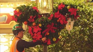 Halloween to Christmas decorations transition at Magic Kingdom, Walt Disney World