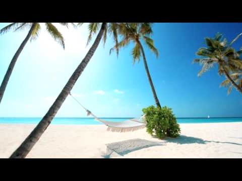 維拉羅伯士 花之組曲 1. 夏之田園詩