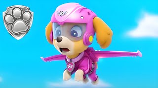 The Skyes The Limit For The Air Pups Mighty Pups Official Channel Paw Patrol