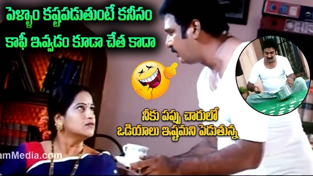 మీ కడుపుబ్బా నవ్వించే Krishnabhagavan Ultimate Comedy Scenes | iDream 360