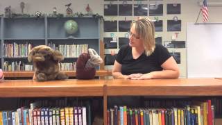 Kdg Lesson 9: Same or Different