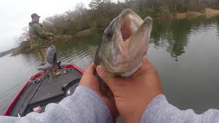 Cold Bass on Lake Bastrop | Texas Rig & Drop Shot