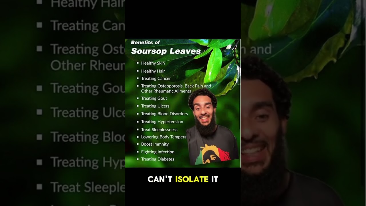 Soursop contains acetogenins, flavonoids, polyphenols, and antioxidants that may be beneficial for