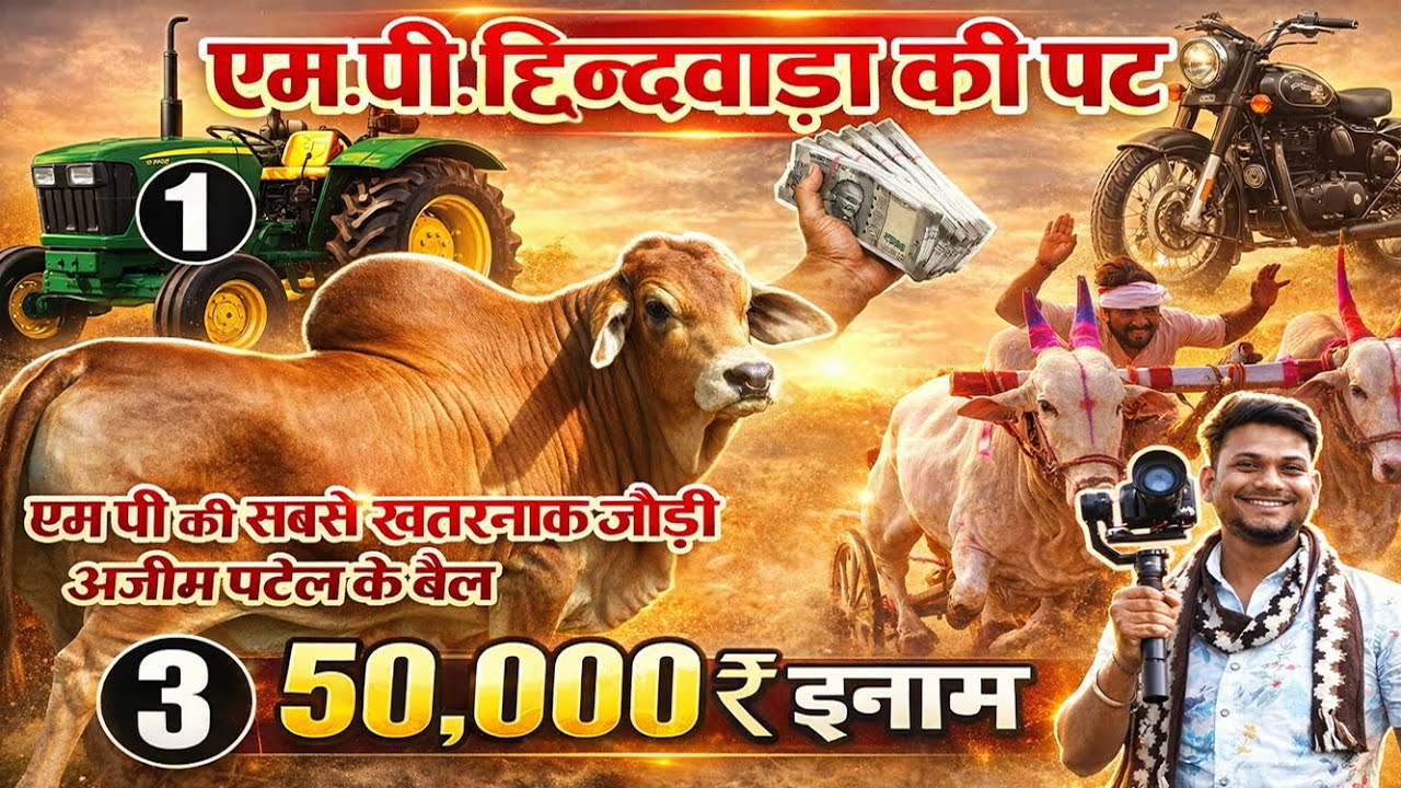 MP. Ki 1 bail Jodi 🐂 एम पी की पहली बेल जोड़ी  duniya ka sabse bada bail #bull #mp #trending #comedy