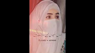 Tede dil vich kehria Tede mn vich kehria Ahmad Nawaz cheena saraiki song slowed and reverb 🎧🥺
