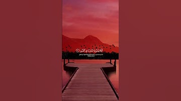 اكتب شيء تؤجر عليه ♥️ || القارئ عبدالرحمن مسعد 🤍🎧