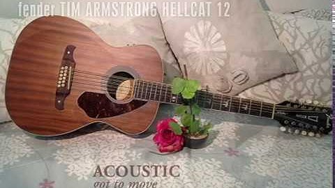Slide on Fender 12-String Tim Armstrong Hellcat