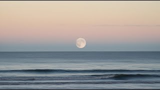 Guided Meditation for Deep Sleep & Relaxation with Tara Brach – Unwind Your Mind Tonight 🌙