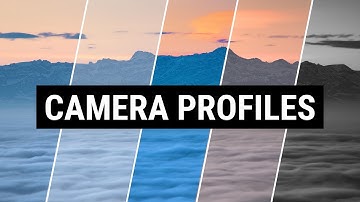 Adobe Camera Profiles Explained