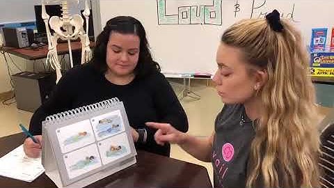 OWLS II Administration