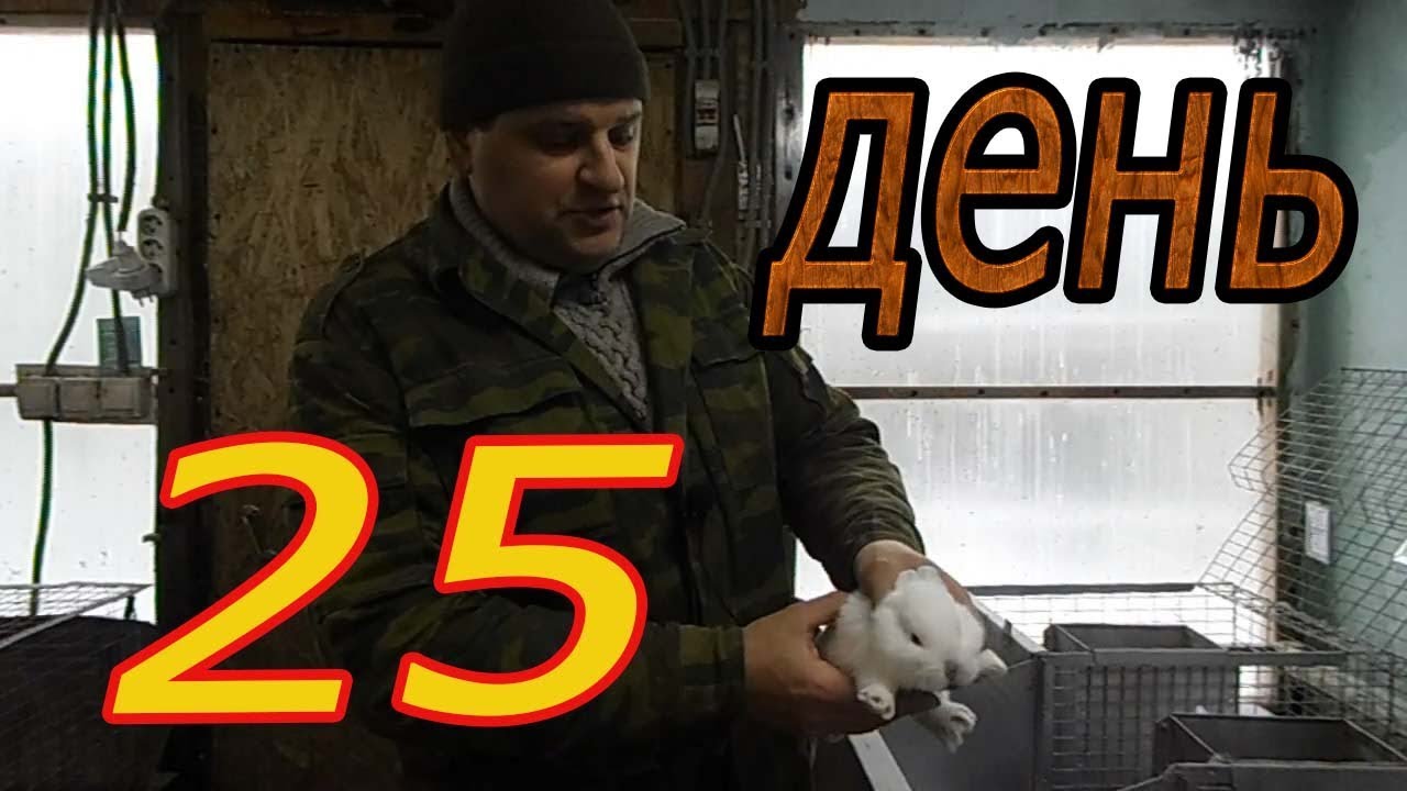 КРОЛЬЧАТАМ 25дн (что нужно знать!?) (видео 8)