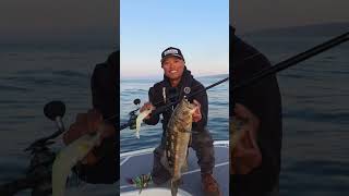 For My Morning People