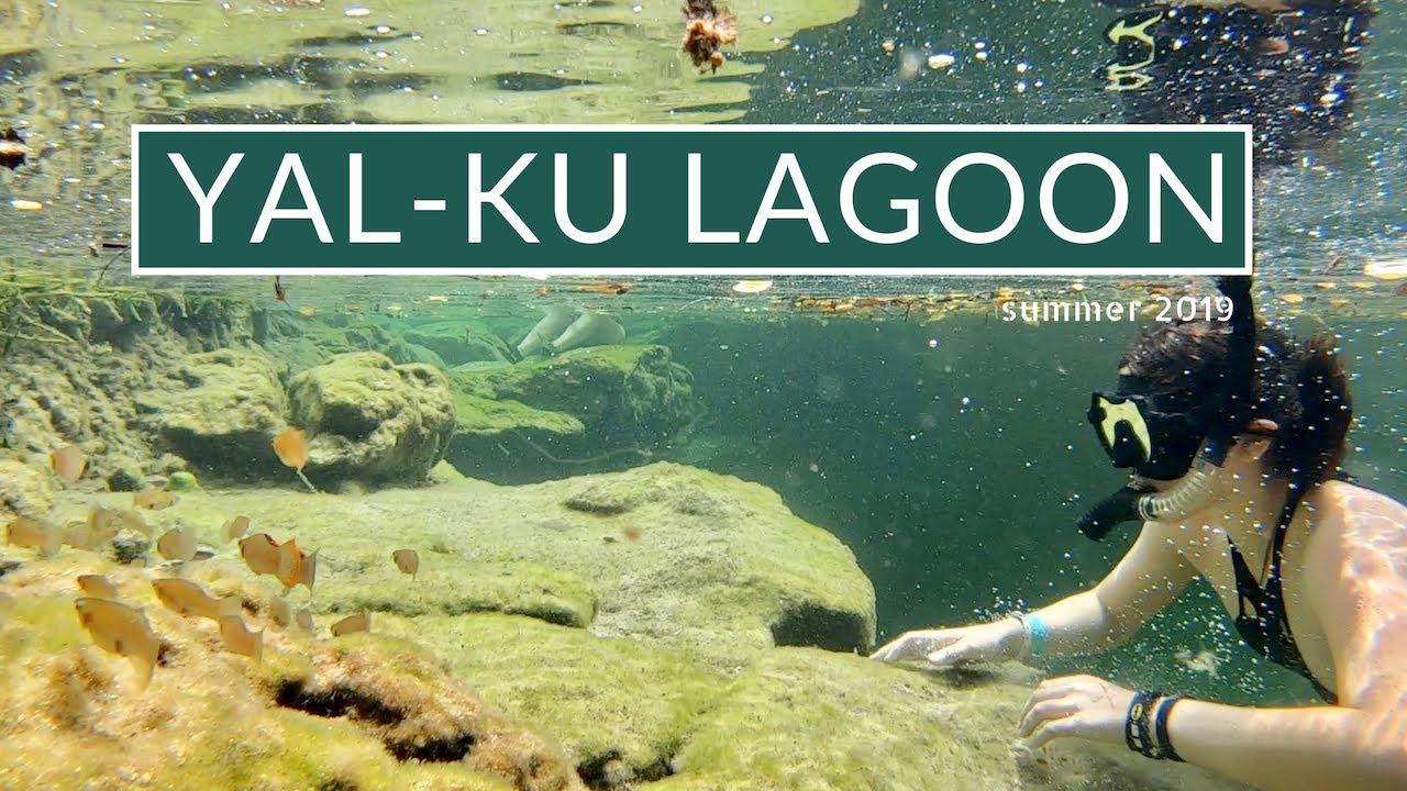 Yal Ku Lagoon: Swimming with Nature