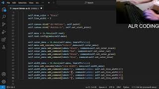 Celebrity (LIVE) Coding a Paint App in Python Net Worth