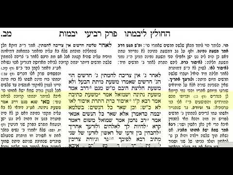 יבמות דף מב