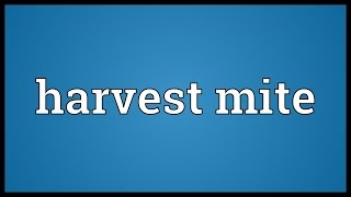 Harvest mite Meaning