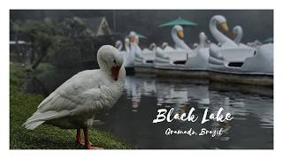 Black Lake Gramado: A Hidden Gem in Southern Brazil