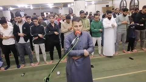 خواتيم سورة الجاثية للشيخ: رضا الهادي