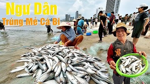 Kiếm Tiền Triệu Mỗi Ngày Nhờ Nghề kéo lưới Rùng Của Bà Con Ngư Dân Đà Nẵng