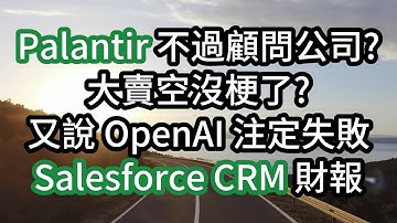 Palantir 不過顧問公司? 大賣空沒梗了? 又說 OpenAI 注定失敗 Salesforce CRM 財報