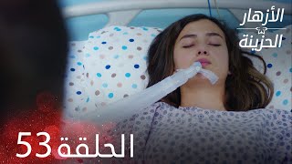 الأزهار الحزينة | الحلقة 53 كاملة | Kırgın Çiçekler