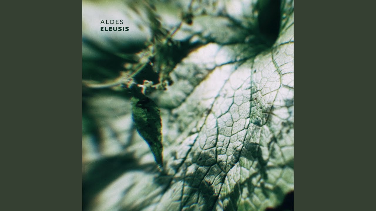 Guarda Eruption su YouTube Guarda Eruption su YouTube