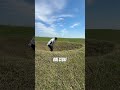 This golf course has 365 bunkers 🤯