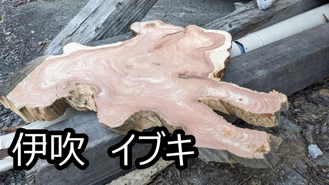 いぶきの木を製材して花びんなど下における台に使える花台とオブジェと 