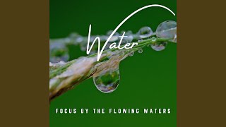 Water's Concentration Harmony