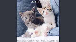 Understated Music for Calming Your Cat
