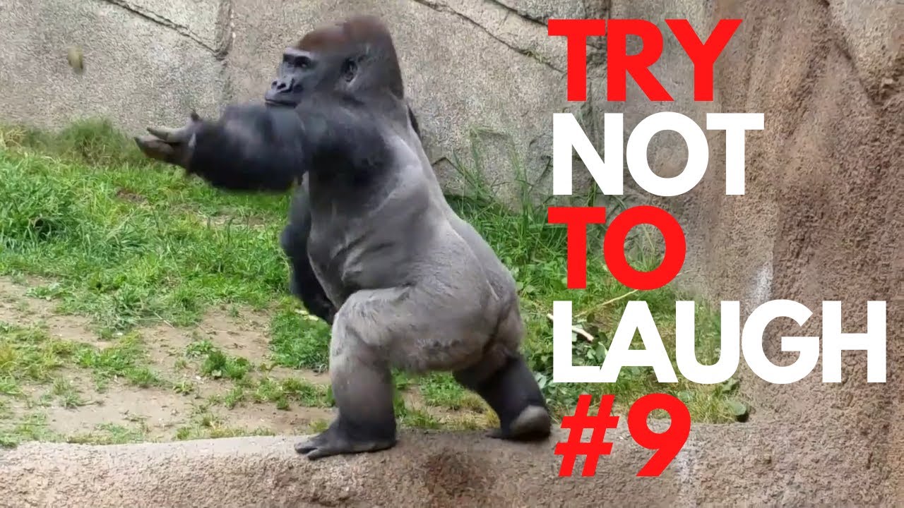 Best Of Funniest Reddit Fails Compilation 2022 - Impossible Try Not to ...