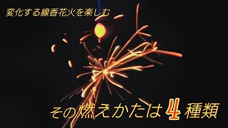 一本の線香花火を楽しむ