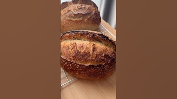 Simple shaping sourdough (Caddy Clasp) #shorts