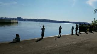 Every Kid in the Park at Jones Point Park, Alexandria, Va