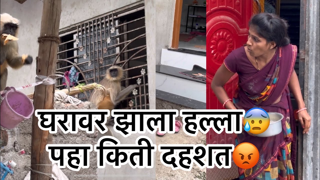 घरावर झाला हल्ला😰पहा किती दहशत😡