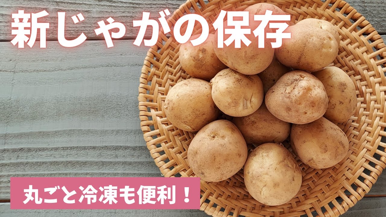 新玉ねぎの保存 常温保存はngですよ Youtube 新玉ねぎの保存 常温保存はngですよ Youtube
