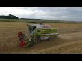 108 Claas Dominator JD975 Žieminių kviečių kūlimas 2022