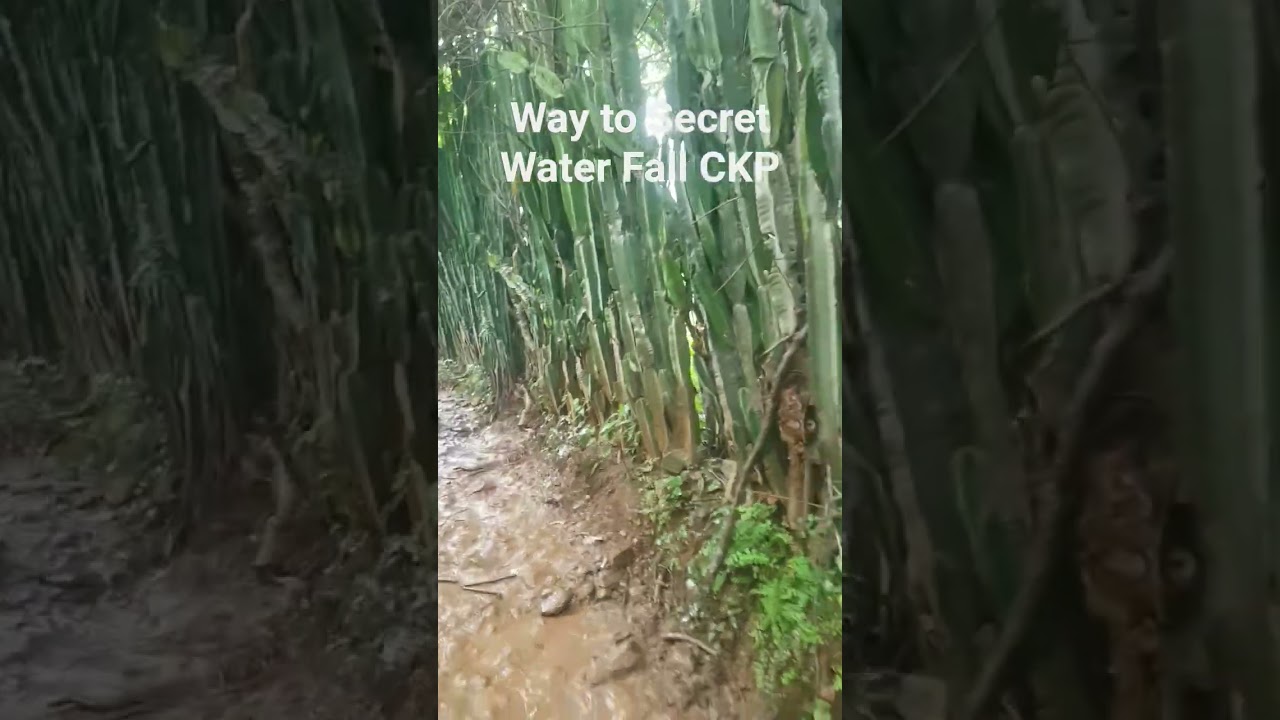 Way to Secret Water Fall 