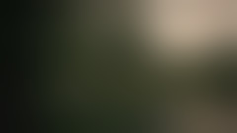 Alec King - Fuck Wow Holy Shit (Official Audio)