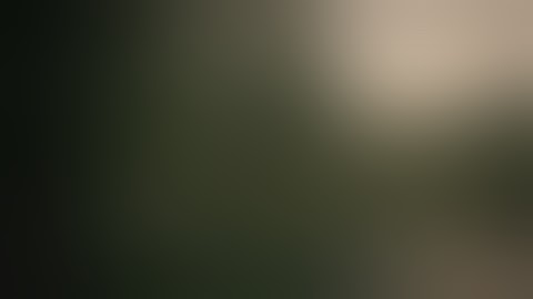 Alec King - Fuck Wow Holy Shit (Official Audio)